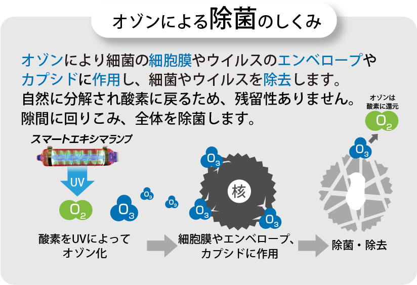 オゾンによる除菌のしくみ