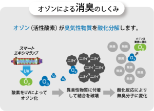 オゾンによる消臭のしくみ